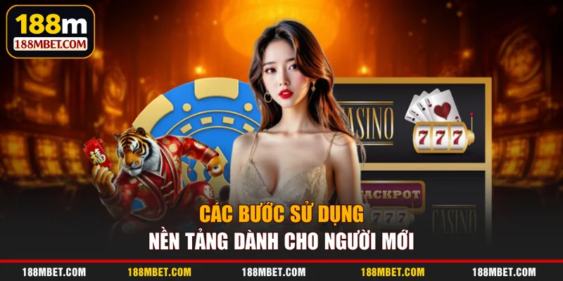 Các bước sử dụng nền tảng dành cho người mới