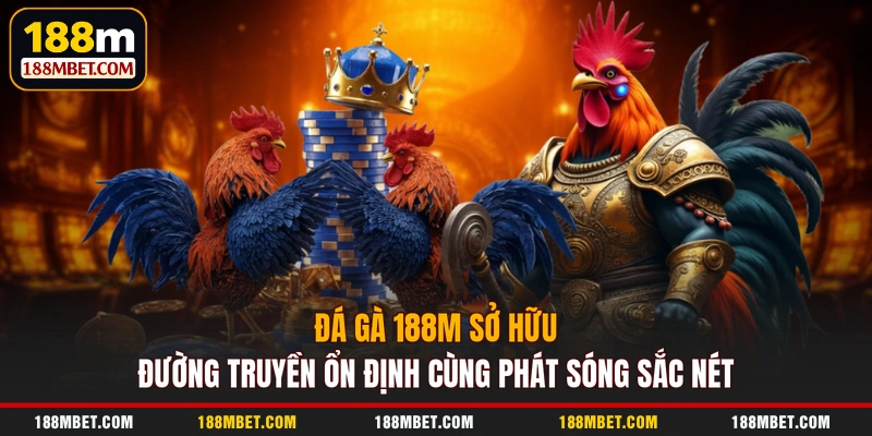 Đá gà 188M sở hữu đường truyền ổn định cùng phát sóng sắc nét
