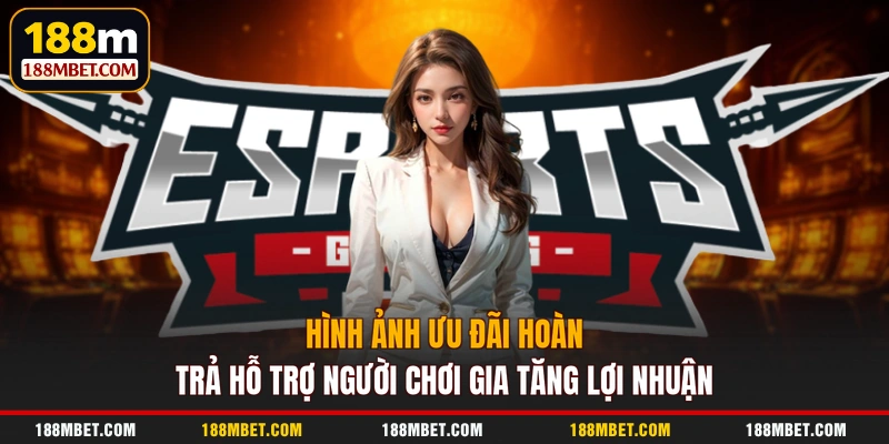 Hình ảnh ưu đãi hoàn trả hỗ trợ người chơi gia tăng lợi nhuận