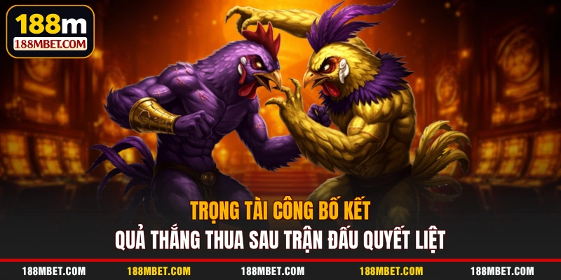 Trọng tài công bố kết quả thắng thua sau trận đấu quyết liệt